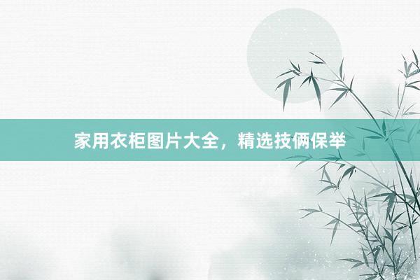 家用衣柜图片大全，精选技俩保举