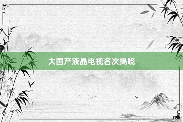 大国产液晶电视名次揭晓